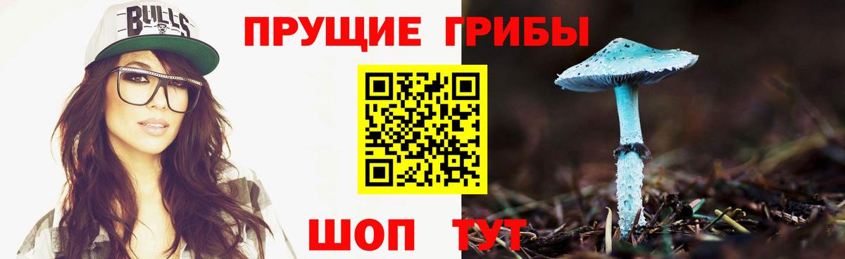 Псилоцибиновые грибы прущие грибы  Галлюциногенные грибы ЛСД  Вход с VPN  Горячий Ключ 